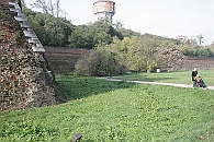 Img 087